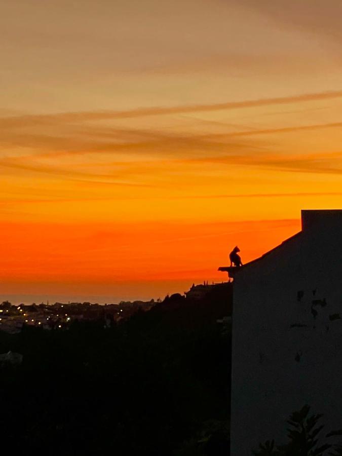 Ocean View Skyline Apartment ‚Hakuna Matata' Albufeira Bagian luar foto